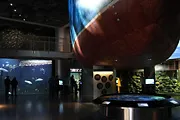 Nordsøen Oceanarium i Hirtshals